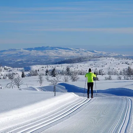 Spatind Åmot